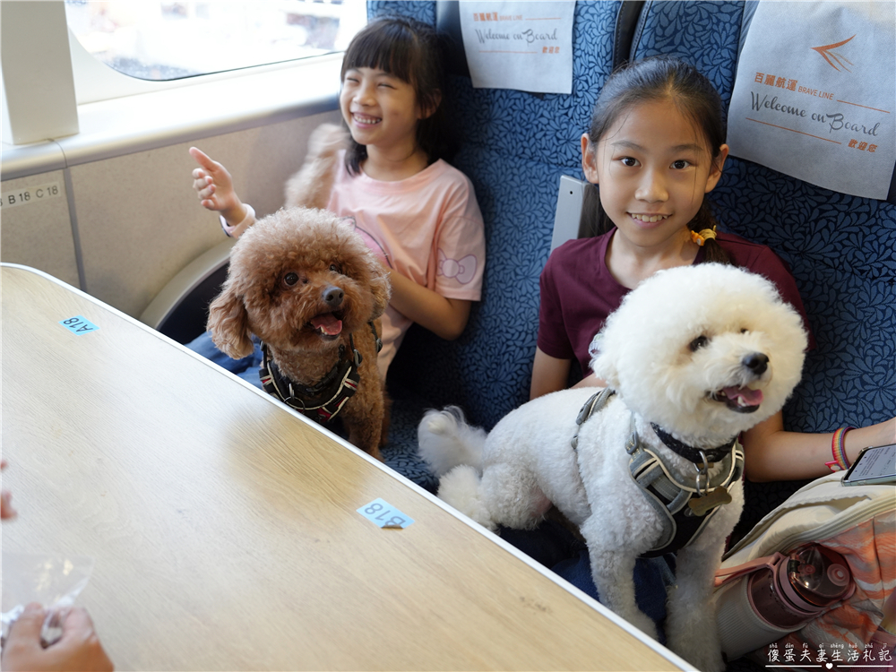 【澎湖馬公。交通】『寵遊澎湖』毛孩出航嚕！帶毛小孩搭船遊澎湖！從嘉義布袋港出發，前往馬公港之交通全記錄！ @傻蛋夫妻生活札記
