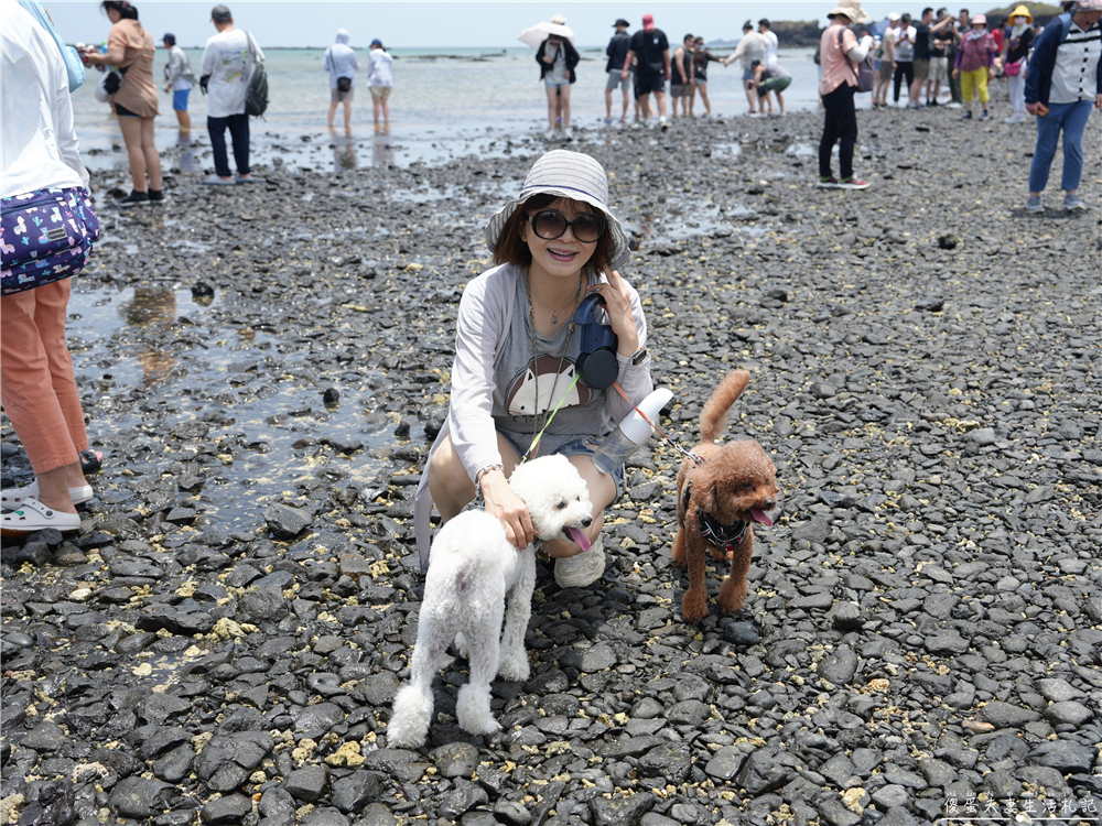 【澎湖馬公。交通】『寵遊澎湖』毛孩出航嚕！帶毛小孩搭船遊澎湖！從嘉義布袋港出發，前往馬公港之交通全記錄！ @傻蛋夫妻生活札記