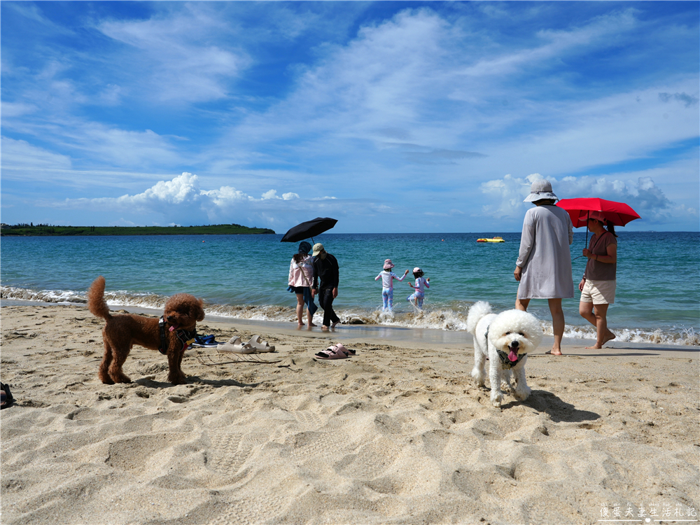 【澎湖馬公。交通】『寵遊澎湖』毛孩出航嚕！帶毛小孩搭船遊澎湖！從嘉義布袋港出發，前往馬公港之交通全記錄！ @傻蛋夫妻生活札記