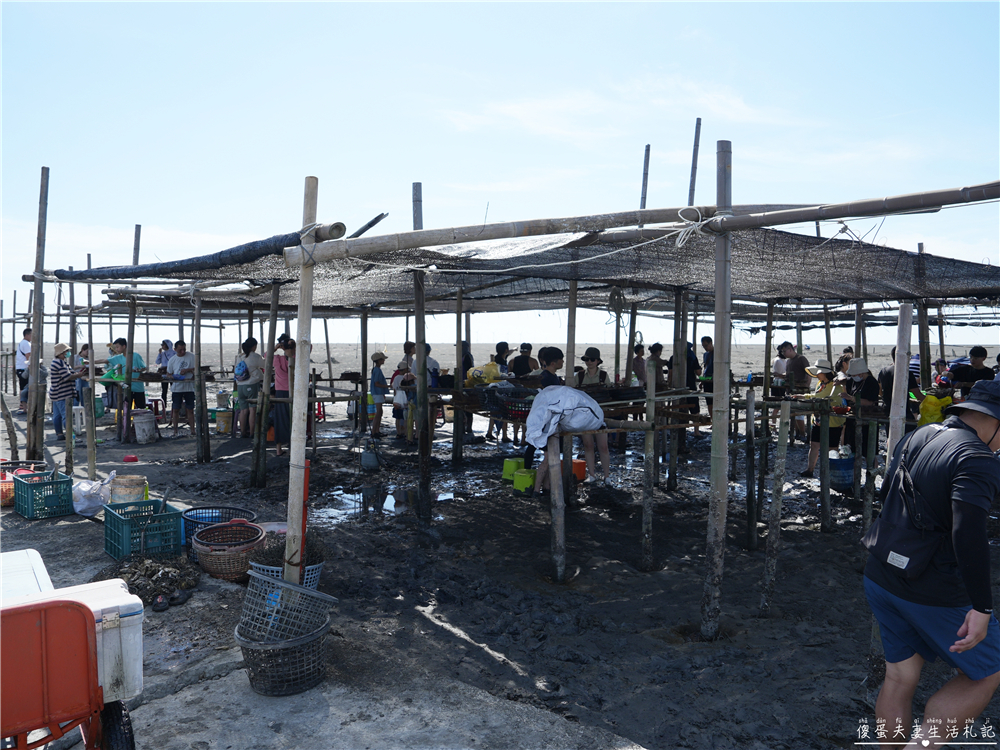 【彰化芳苑】『王功永昌叔』彰化旅遊最夯玩法！鮮蚵無限時、無限量爽吃！有吃又有玩的採蚵生態旅遊觀光三輪車！彰化親子旅遊推薦~ @傻蛋夫妻生活札記