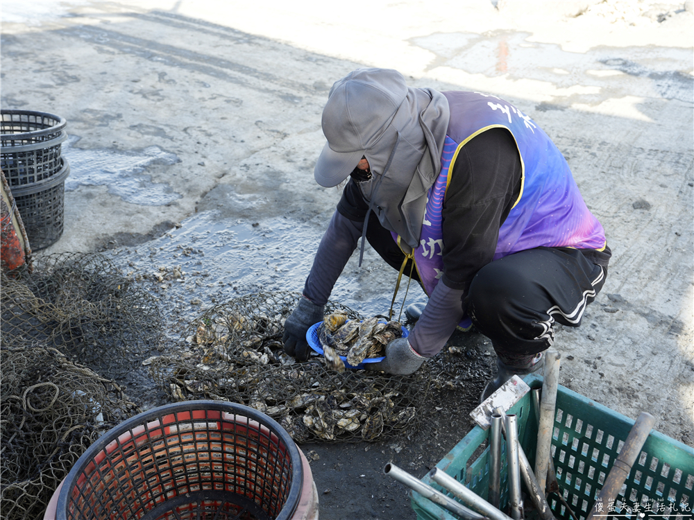 【彰化芳苑】『王功永昌叔』彰化旅遊最夯玩法！鮮蚵無限時、無限量爽吃！有吃又有玩的採蚵生態旅遊觀光三輪車！彰化親子旅遊推薦~ @傻蛋夫妻生活札記