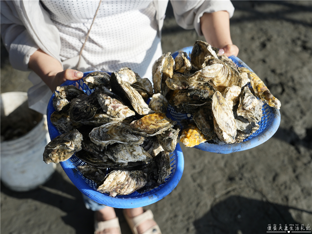 【彰化芳苑】『王功永昌叔』彰化旅遊最夯玩法！鮮蚵無限時、無限量爽吃！有吃又有玩的採蚵生態旅遊觀光三輪車！彰化親子旅遊推薦~ @傻蛋夫妻生活札記