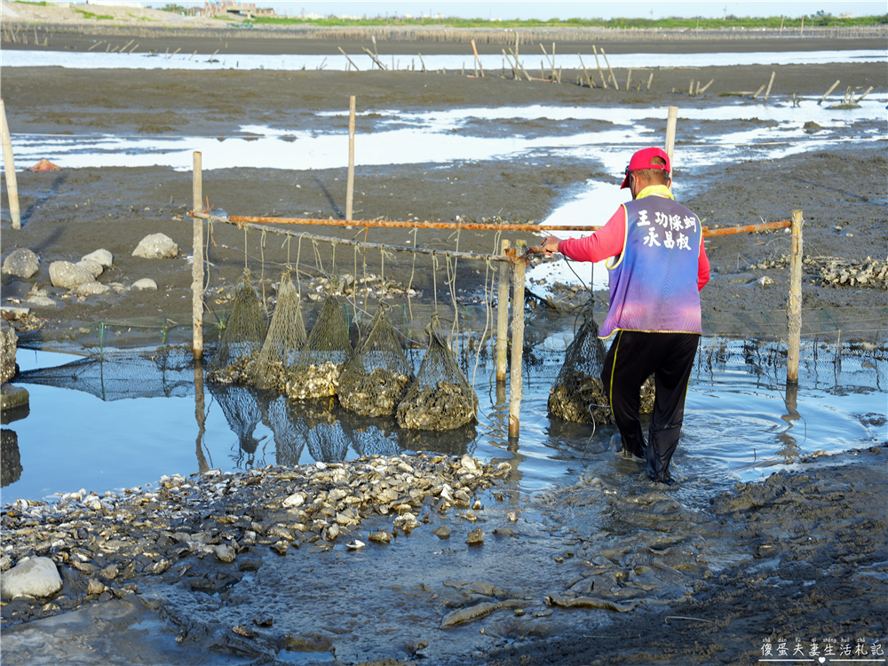 【彰化芳苑】『王功永昌叔』彰化旅遊最夯玩法！鮮蚵無限時、無限量爽吃！有吃又有玩的採蚵生態旅遊觀光三輪車！彰化親子旅遊推薦~ @傻蛋夫妻生活札記