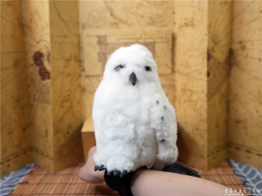 【日本】『日本戰利品全紀錄』買好買滿！從大阪、京都、白川鄉到名古屋13天必買伴手禮全記錄！ @傻蛋夫妻生活札記