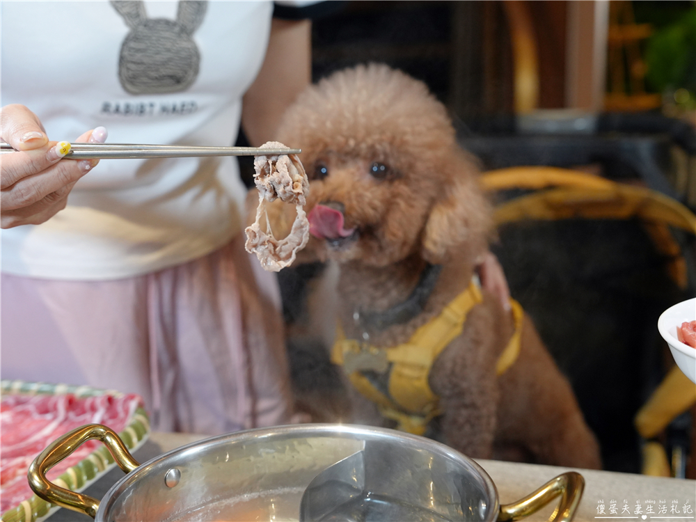 【台中西區。美食】『月團圓雞湯火鍋-台中美術園道店』個人鴛鴦火鍋爽爽吃，還有超豐盛自助吧無限吃到飽！台中寵物友善、包廂餐廳！ @傻蛋夫妻生活札記