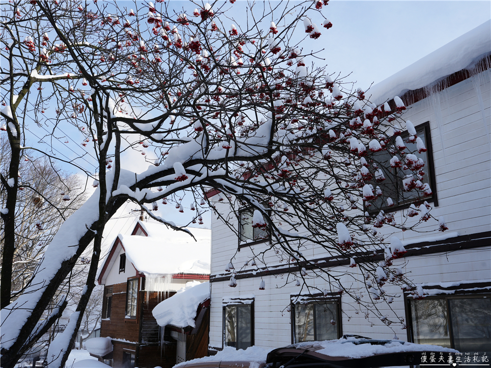 【日本岩手。住宿】『松川溫泉 松川莊 / Matsukawa Onsen Matsukawaso』雪國裡的懷舊秘湯之旅！ @傻蛋夫妻生活札記