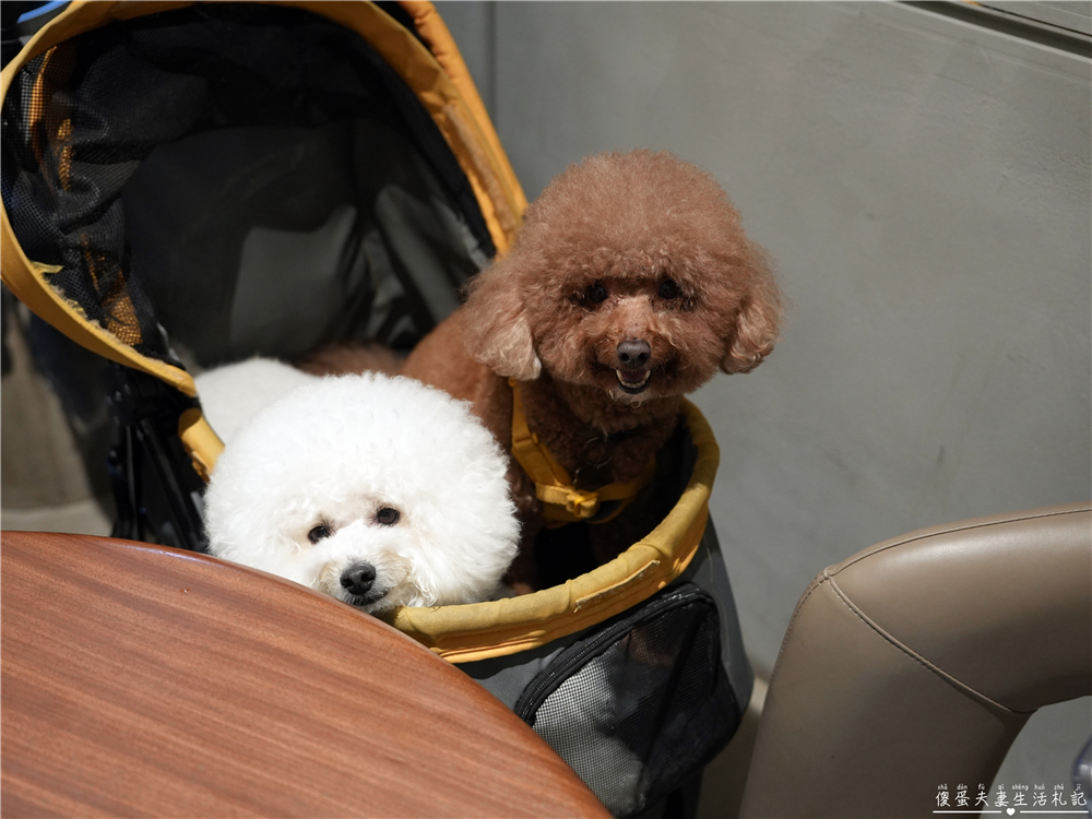 【台中南屯。美食】『茶馬司訪山茶店』未來感主題餐廳！不限時的寵物友善茶館！ @傻蛋夫妻生活札記