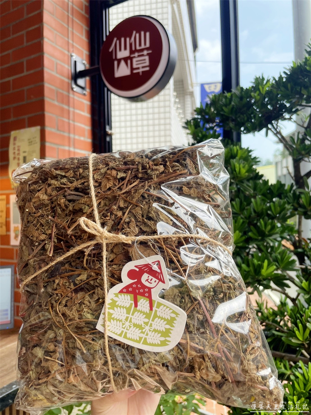 【苗栗獅潭美食】『仙山仙草』獅潭超人氣美食！特色客家米食與創意仙草料理！ @傻蛋夫妻生活札記