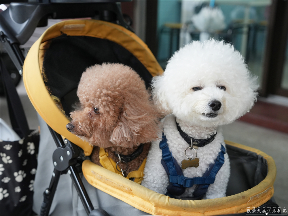【台中北屯。美食】『拾六雪冰舖』消暑涮嘴！東山黃昏市場旁的雪花冰專賣店！ @傻蛋夫妻生活札記
