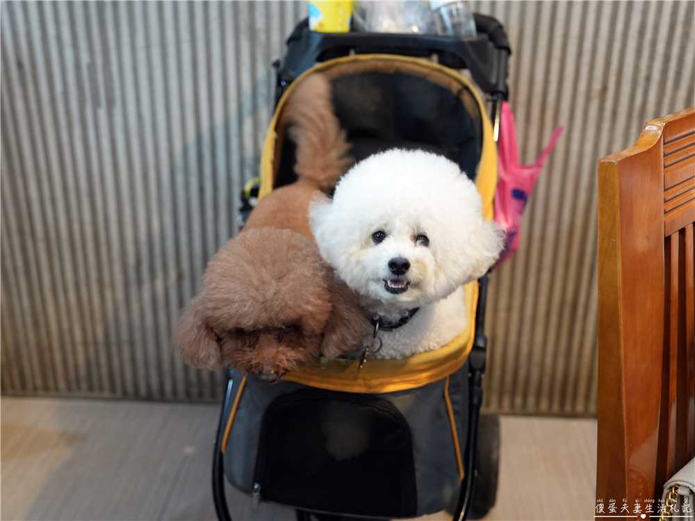 【桃園大溪。婚宴】『海宴餐廳』幸福洋溢的婚禮紀實！好同事的人生大事！ @傻蛋夫妻生活札記