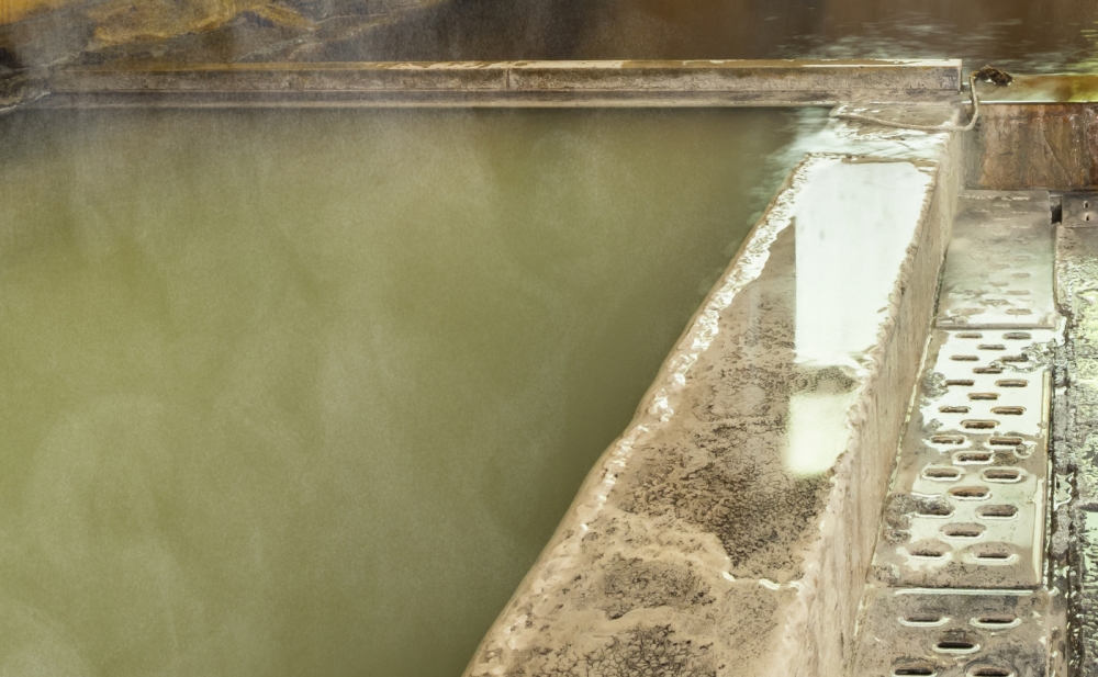 【日本栃木。住宿】『奥塩原元湯 大出館』日本唯一！墨の湯與五色の湯的秘湯體驗！ @傻蛋夫妻生活札記