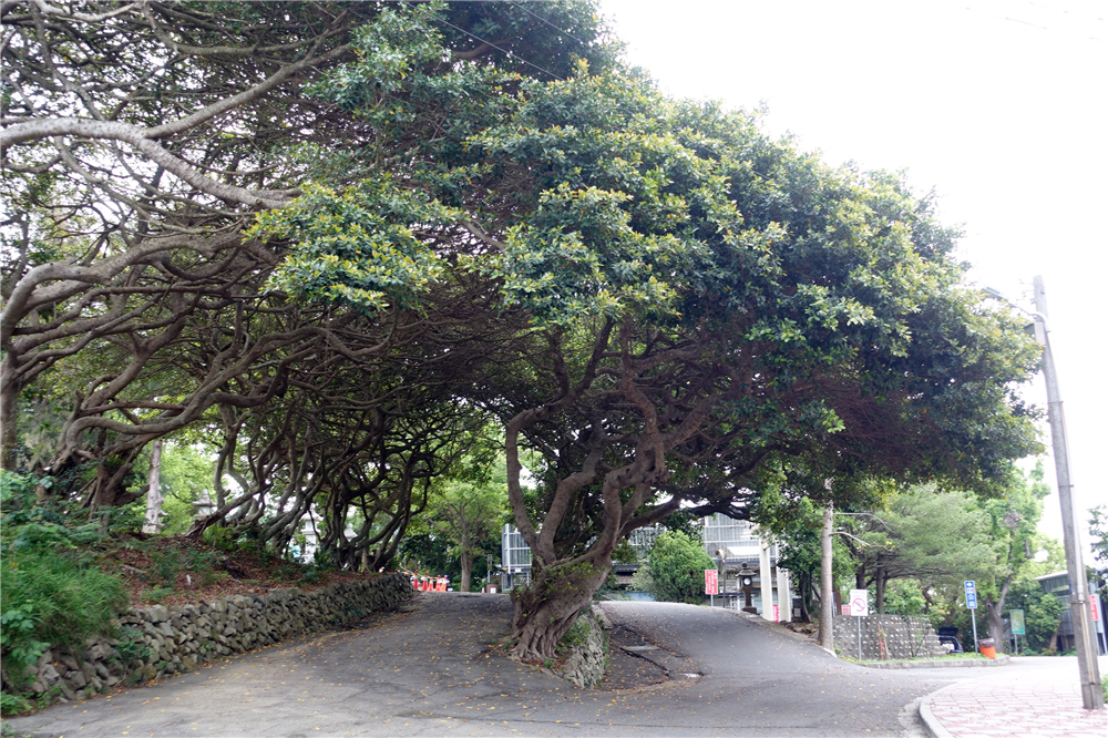 【苗栗通霄。景點】『通霄神社』秒飛日本~台灣少數保存完整的日式神社之一！ @傻蛋夫妻生活札記
