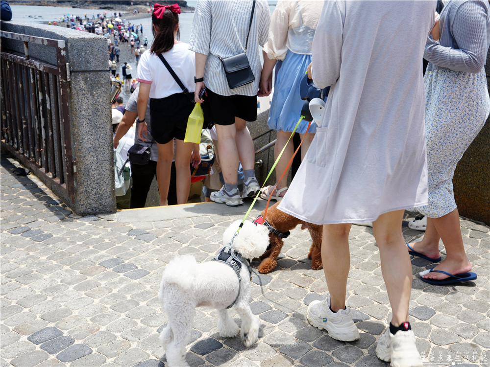【澎湖湖西。景點】『奎壁山摩西分海』澎湖必訪奇景！走進大自然獨一無二的神祕通道~ @傻蛋夫妻生活札記