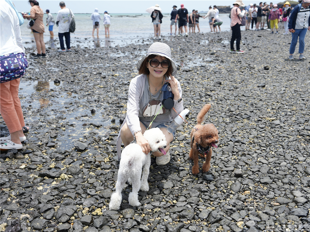 【澎湖湖西。景點】『奎壁山摩西分海』澎湖必訪奇景！走進大自然獨一無二的神祕通道~ @傻蛋夫妻生活札記