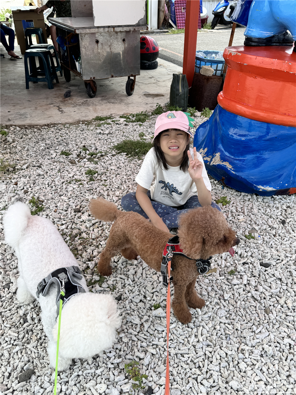 【澎湖白沙。景點】『後寮天堂路』後寮祕境！連接天空與大海的夢幻步道~ @傻蛋夫妻生活札記