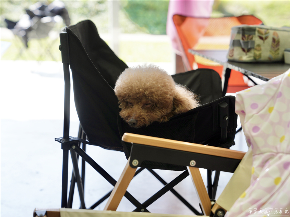 【苗栗大湖。露營】『微笑山丘露營區』玩到不想回家！孩子放電、大人放鬆的樂園系露營區！ @傻蛋夫妻生活札記