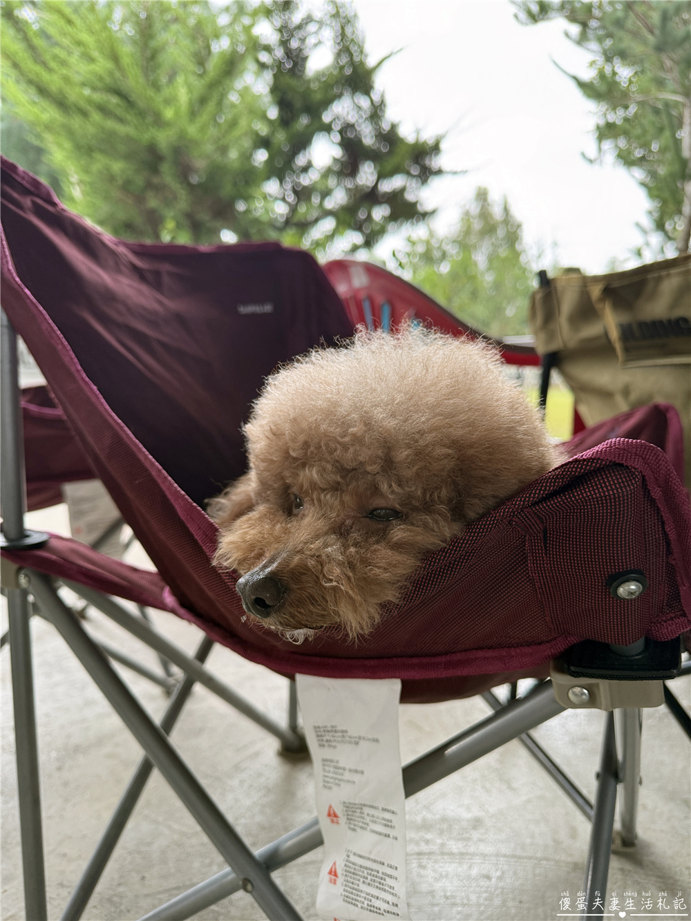 【南投埔里。露營】『湯尼瑪麗露營區』離塵不離城!環境乾淨簡單的舒適露營區~ @傻蛋夫妻生活札記 【南投埔里。露營】『湯尼瑪麗露營區』離塵不離城!環境乾淨簡單的舒適露營區~ @傻蛋夫妻生活札記