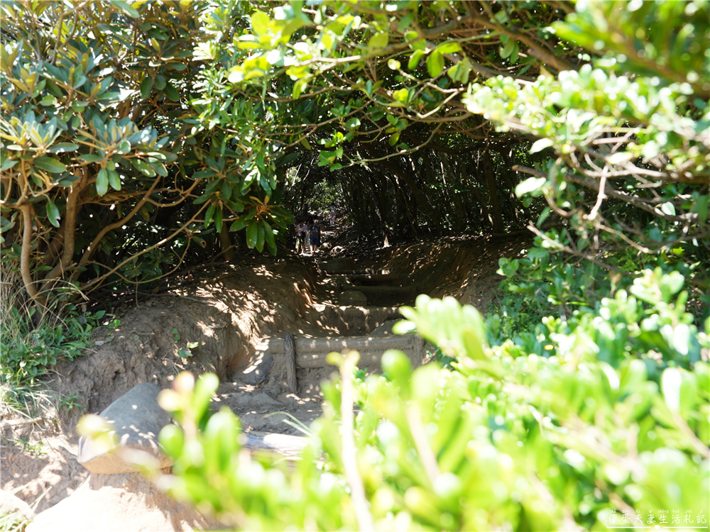 【日本福岡。景點】『芥屋大門の公園』闖進龍貓森林！展望台絕景與糸島古老神社的療癒之旅！ @傻蛋夫妻生活札記