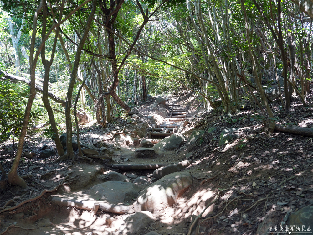 【日本福岡。景點】『芥屋大門の公園』闖進龍貓森林！展望台絕景與糸島古老神社的療癒之旅！ @傻蛋夫妻生活札記