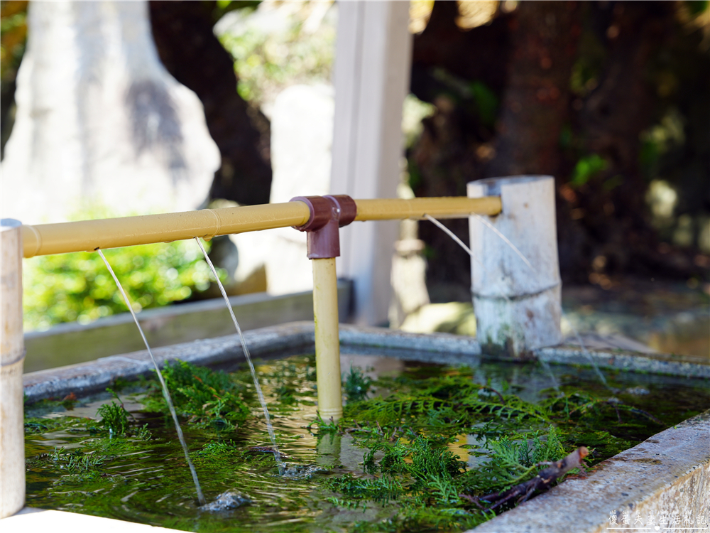 【日本福岡。景點】『芥屋大門の公園』闖進龍貓森林！展望台絕景與糸島古老神社的療癒之旅！ @傻蛋夫妻生活札記