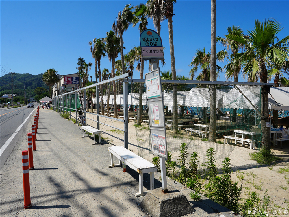 【日本福岡。景點】『椰子樹鞦韆 / Palm Tree Swing』糸島超夯免費網美、親子拍照打卡點! @傻蛋夫妻生活札記 【日本福岡。景點】『椰子樹鞦韆 / Palm Tree Swing』糸島超夯免費網美、親子拍照打卡點! @傻蛋夫妻生活札記