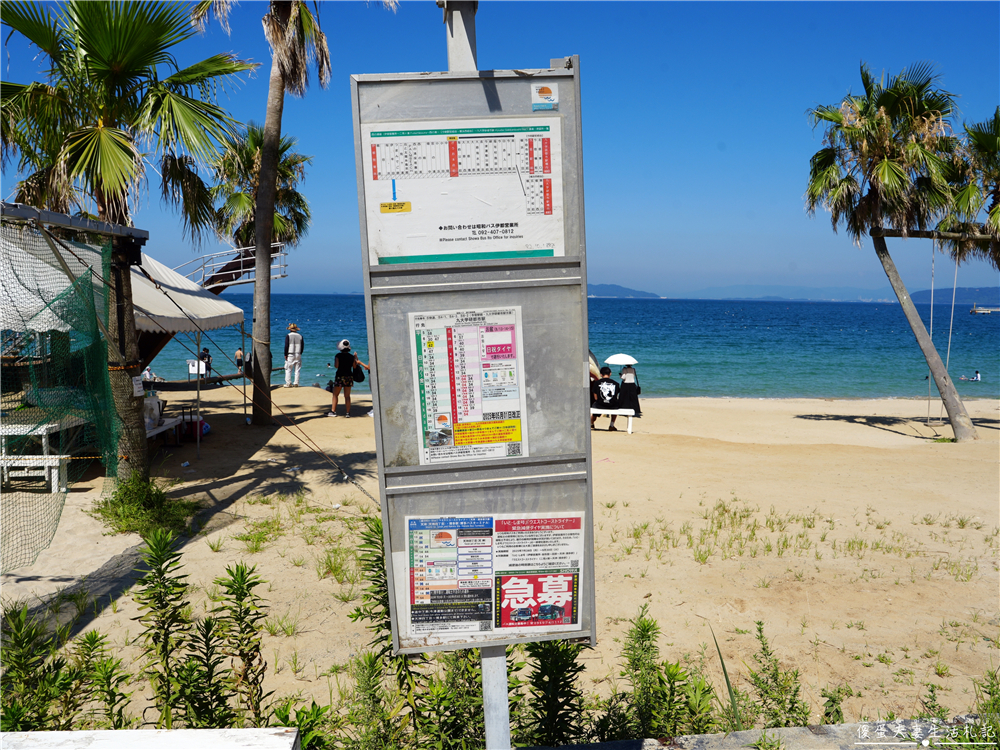 【日本福岡。景點】『椰子樹鞦韆 / Palm Tree Swing』糸島超夯免費網美、親子拍照打卡點！ @傻蛋夫妻生活札記