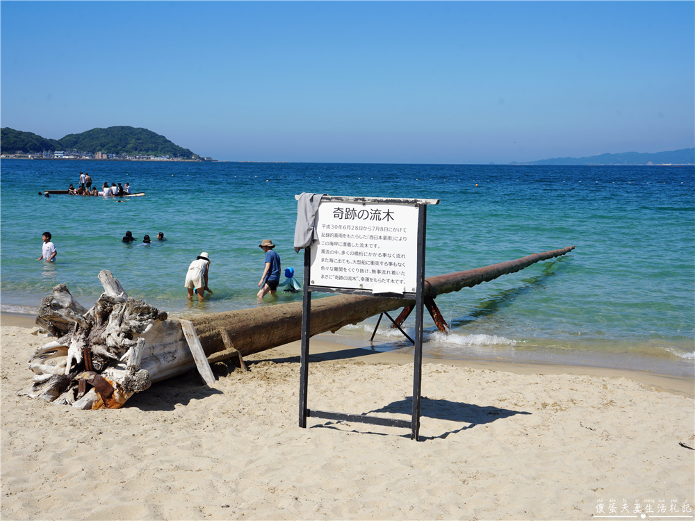 【日本福岡。景點】『椰子樹鞦韆 / Palm Tree Swing』糸島超夯免費網美、親子拍照打卡點！ @傻蛋夫妻生活札記