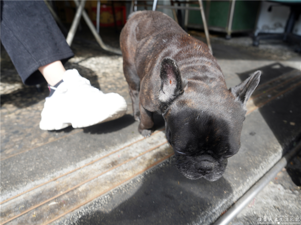 【苗栗市美食】『廖媽媽』無招牌老字號！南苗的超級隱藏版麵店~ @傻蛋夫妻生活札記