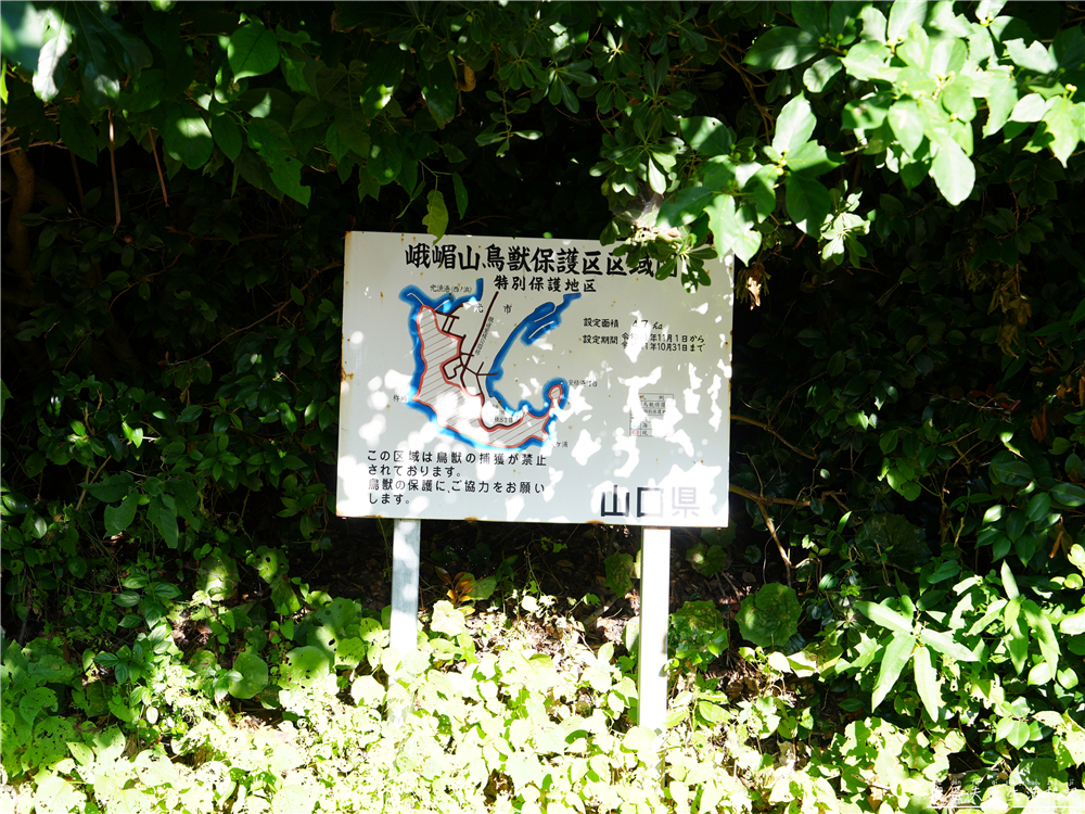 【日本山口住宿】『Hale Murozumi ハレムロズミ』10人包棟民宿推薦!在地海邊小鎮的慢生活體驗~ @傻蛋夫妻生活札記 【日本山口住宿】『Hale Murozumi ハレムロズミ』10人包棟民宿推薦!在地海邊小鎮的慢生活體驗~ @傻蛋夫妻生活札記