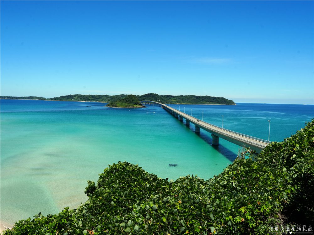 【日本山口景點】『角島』角島大橋夢幻藍海公路～自駕必訪打卡地！ @傻蛋夫妻生活札記