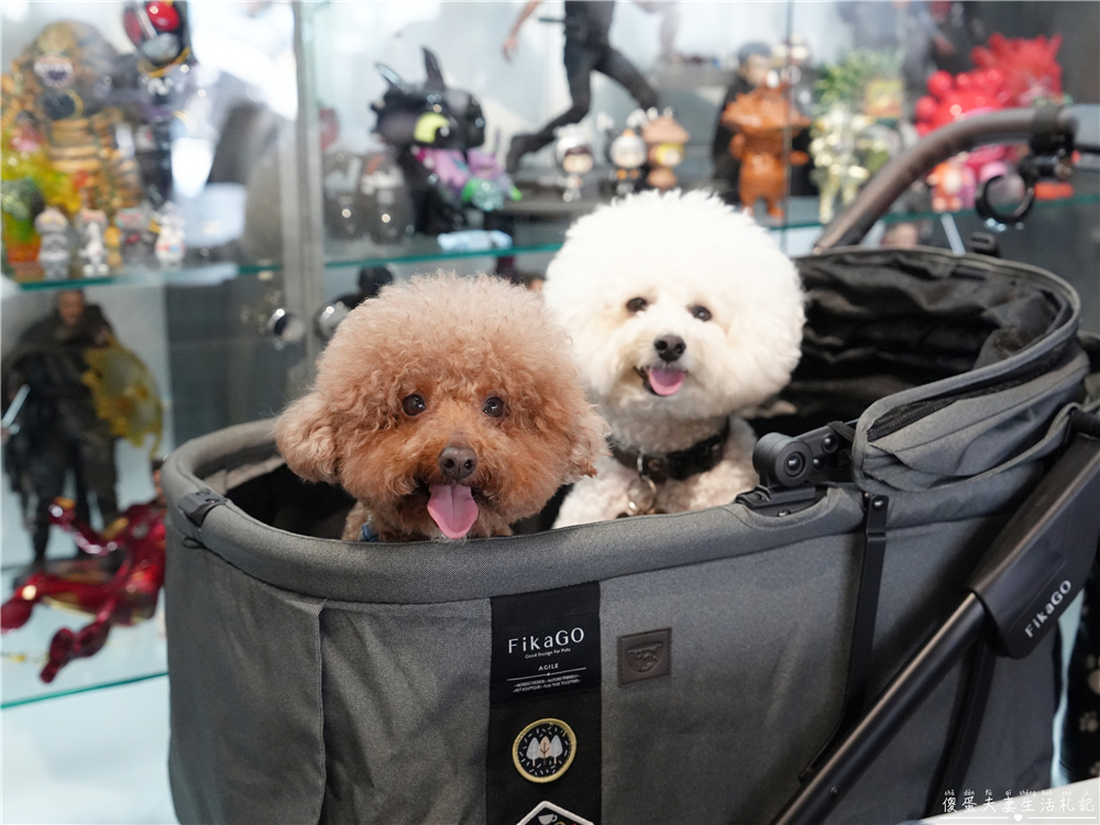 【台中太平美食】『義YUAN 義式料理』好吃不浮誇！巷子內的義式料理實力派！ @傻蛋夫妻生活札記