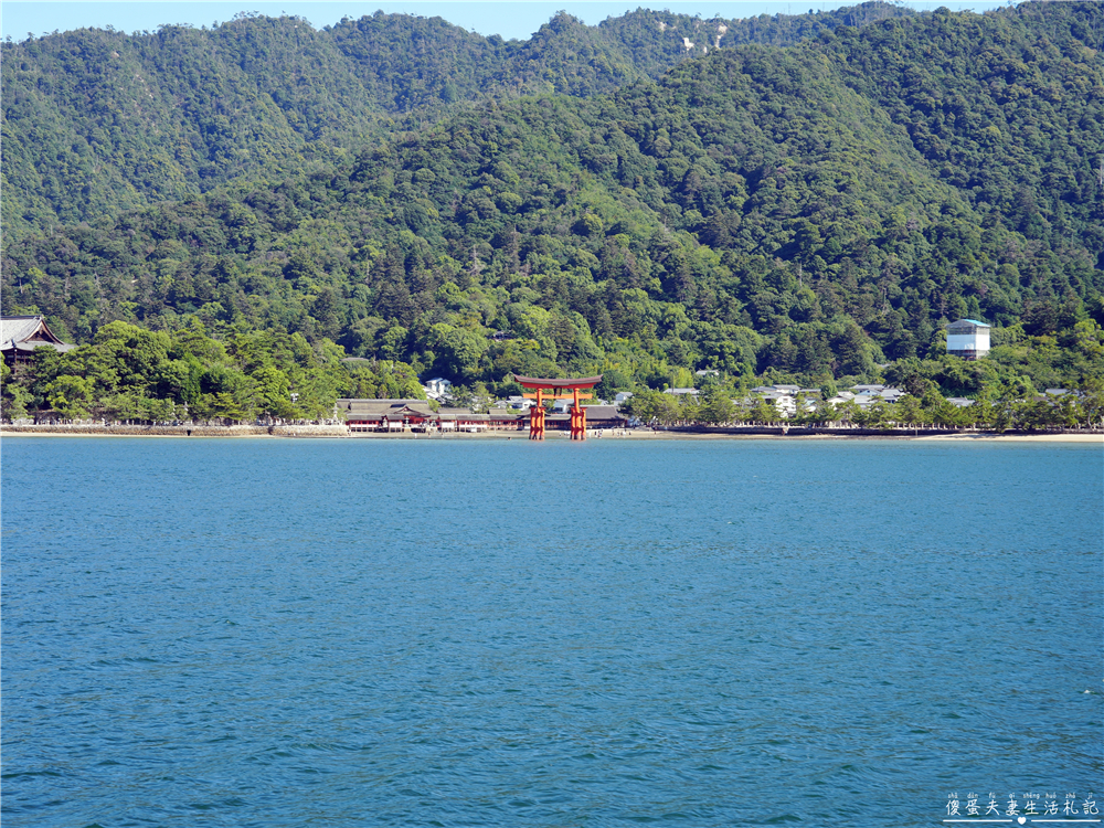 【日本廣島景點】『嚴島神社』日本三景朝聖!搭渡輪登宮島,退潮漫步大鳥居、宮島商店街美食一次收集! @傻蛋夫妻生活札記 【日本廣島景點】『嚴島神社』日本三景朝聖!搭渡輪登宮島,退潮漫步大鳥居、宮島商店街美食一次收集! @傻蛋夫妻生活札記