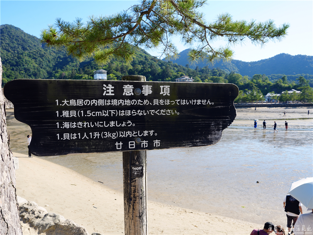 【日本廣島景點】『嚴島神社』日本三景朝聖!搭渡輪登宮島,退潮漫步大鳥居、宮島商店街美食一次收集! @傻蛋夫妻生活札記 【日本廣島景點】『嚴島神社』日本三景朝聖!搭渡輪登宮島,退潮漫步大鳥居、宮島商店街美食一次收集! @傻蛋夫妻生活札記