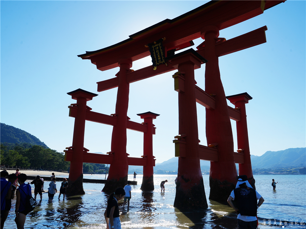 【日本廣島景點】『嚴島神社』日本三景朝聖!搭渡輪登宮島,退潮漫步大鳥居、宮島商店街美食一次收集! @傻蛋夫妻生活札記 【日本廣島景點】『嚴島神社』日本三景朝聖!搭渡輪登宮島,退潮漫步大鳥居、宮島商店街美食一次收集! @傻蛋夫妻生活札記