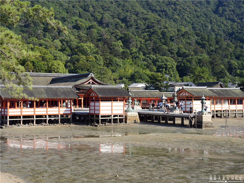 【日本廣島景點】『嚴島神社』日本三景朝聖!搭渡輪登宮島,退潮漫步大鳥居、宮島商店街美食一次收集! @傻蛋夫妻生活札記 【日本廣島景點】『嚴島神社』日本三景朝聖!搭渡輪登宮島,退潮漫步大鳥居、宮島商店街美食一次收集! @傻蛋夫妻生活札記
