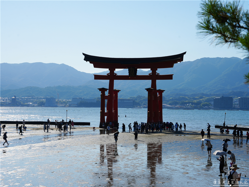 【日本廣島景點】『嚴島神社』日本三景朝聖!搭渡輪登宮島,退潮漫步大鳥居、宮島商店街美食一次收集! @傻蛋夫妻生活札記 【日本廣島景點】『嚴島神社』日本三景朝聖!搭渡輪登宮島,退潮漫步大鳥居、宮島商店街美食一次收集! @傻蛋夫妻生活札記