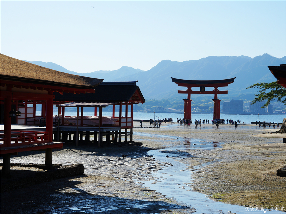 【日本廣島景點】『嚴島神社』日本三景朝聖!搭渡輪登宮島,退潮漫步大鳥居、宮島商店街美食一次收集! @傻蛋夫妻生活札記 【日本廣島景點】『嚴島神社』日本三景朝聖!搭渡輪登宮島,退潮漫步大鳥居、宮島商店街美食一次收集! @傻蛋夫妻生活札記