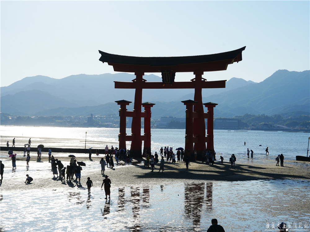 【日本廣島景點】『嚴島神社』日本三景朝聖！搭渡輪登宮島，退潮漫步大鳥居、宮島商店街美食一次收集！ @傻蛋夫妻生活札記