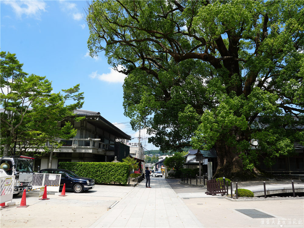 【日本福岡景點】『太宰府天滿宮』一路吃進天滿宮!表參道美食、御神牛與水占卜一次收集! @傻蛋夫妻生活札記 【日本福岡景點】『太宰府天滿宮』一路吃進天滿宮!表參道美食、御神牛與水占卜一次收集! @傻蛋夫妻生活札記