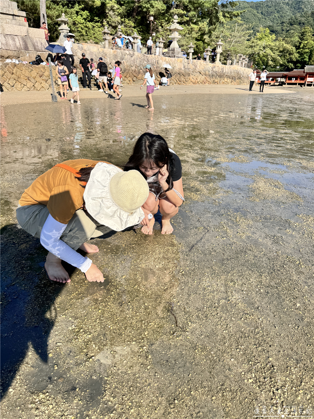 【日本廣島景點】『嚴島神社』日本三景朝聖!搭渡輪登宮島,退潮漫步大鳥居、宮島商店街美食一次收集! @傻蛋夫妻生活札記 【日本廣島景點】『嚴島神社』日本三景朝聖!搭渡輪登宮島,退潮漫步大鳥居、宮島商店街美食一次收集! @傻蛋夫妻生活札記