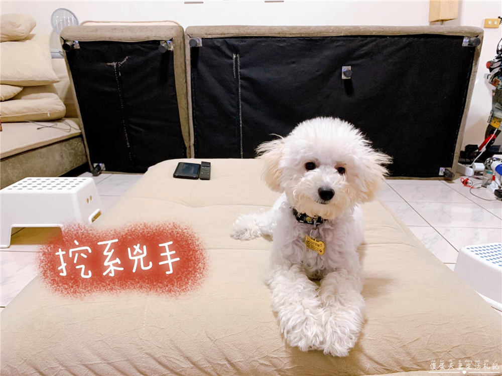【台中西屯】『半日眠R&Ecirc;VEs』小坪數空間救星！兼具美感與機能的沙發床專賣店~超質感MIT沙發線下體驗館！ @傻蛋夫妻生活札記