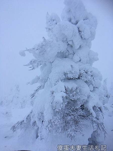 【日本山形。景點】『山形藏王樹冰』冬季限定！欣賞最美的樹怪奇景！ @傻蛋夫妻生活札記