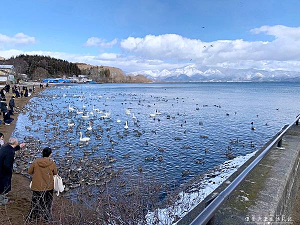 【日本福島。景點】『豬苗代湖』冬季必訪！幻化為天鵝湖的絕美奇景！ @傻蛋夫妻生活札記